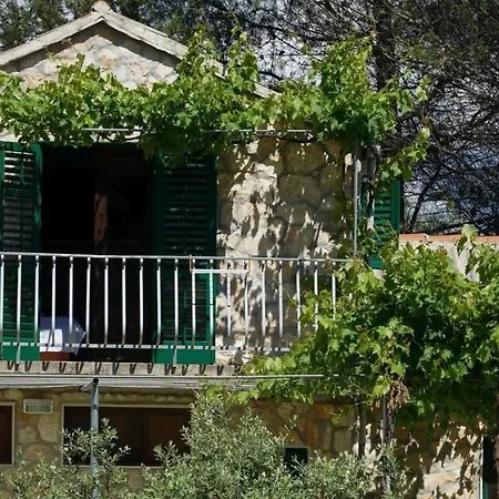 Duplex Slivje *